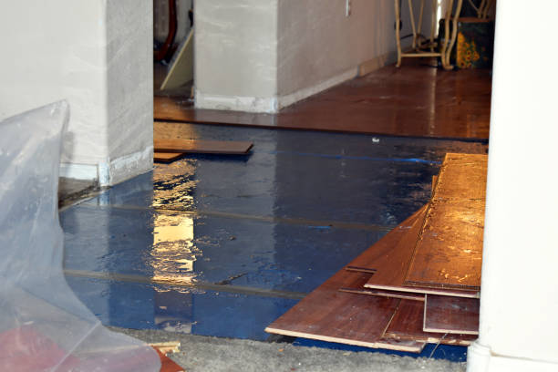 Professional Basement Flood Cleanup technician working in La Crescent, MN